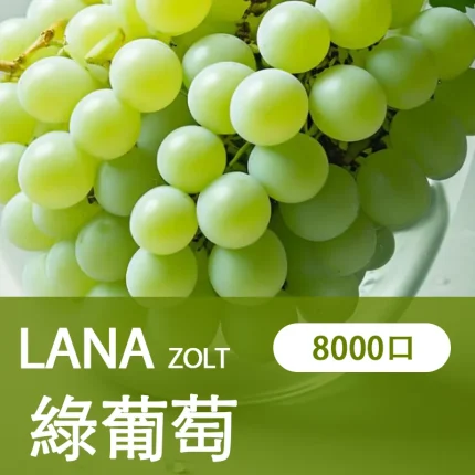 【綠葡萄】LANA ZOLT 一次性電子菸推薦 8000puff大容量 可充電