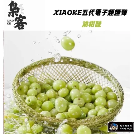 【油柑口味】梟客XIAOKE電子煙彈 通用四代五代主機 買五盒送主機 一盒三顆入