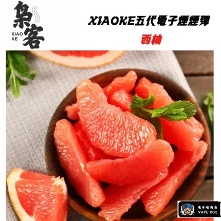 【西柚冰味】XIAOKE梟客煙彈 通用四/五代主機 買五盒送主機 一盒三顆入